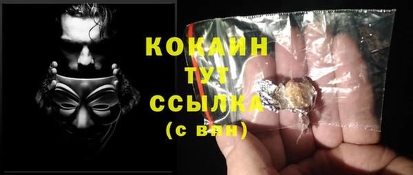 ПСИЛОЦИБИНОВЫЕ ГРИБЫ Абаза