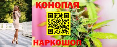 марихуана Камышлов