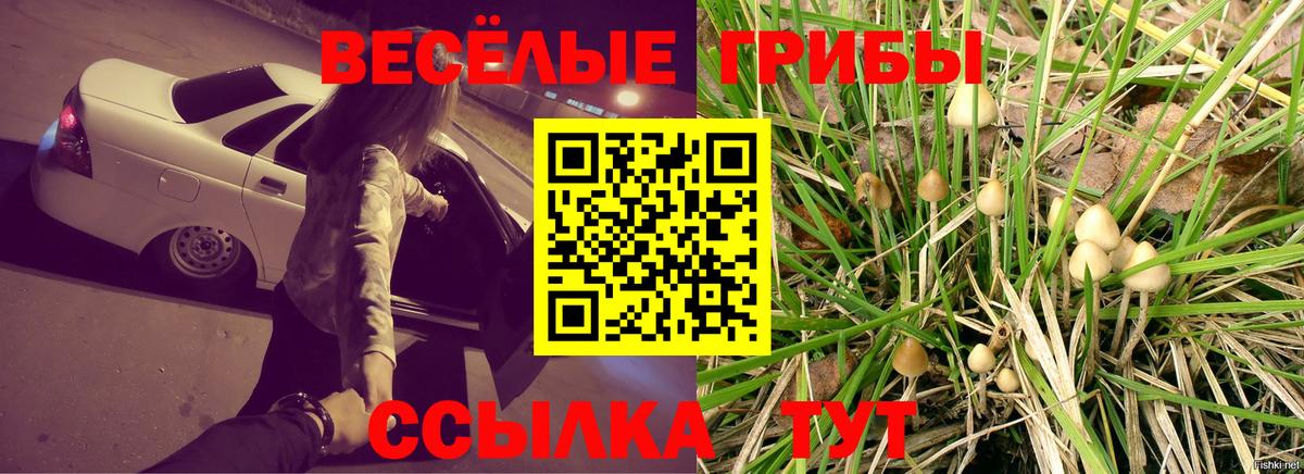 Галлюциногенные грибы GOLDEN TEACHER  Псилоцибиновые грибы ЛСД  Вход с VPN  Южноуральск 